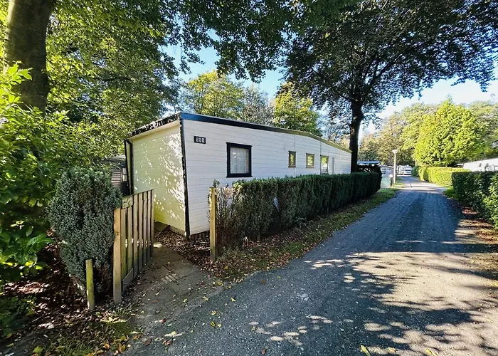 Klein Vink - 198 آرسين